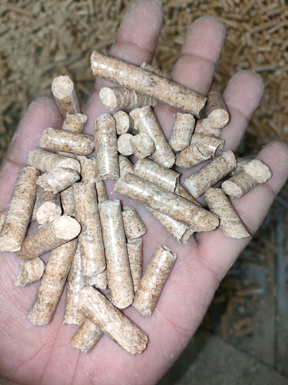 pine-wood-pellet