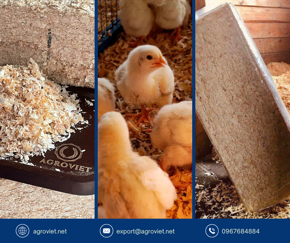 wood shavings