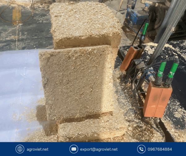 Pine Wood Shavings
