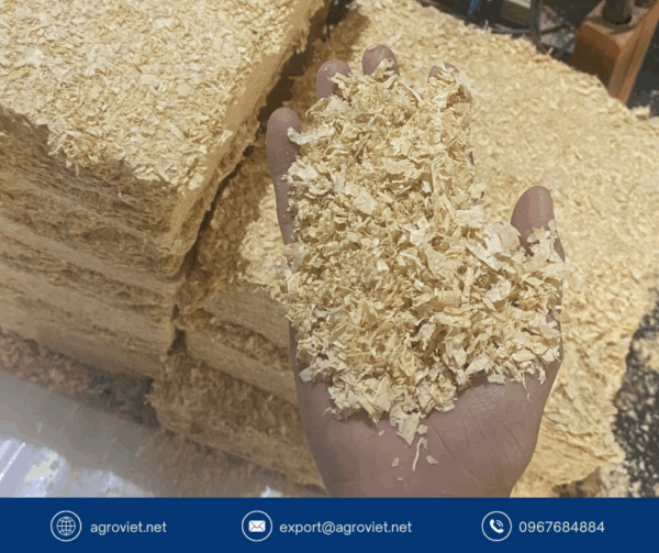 Pine Wood Shavings