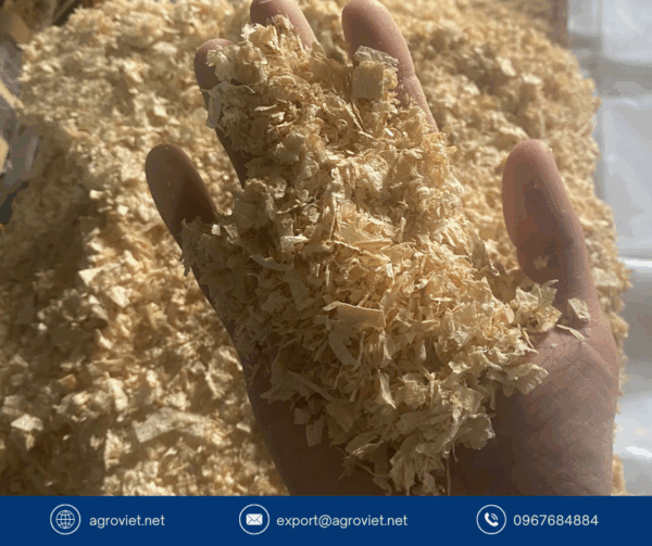 Wood shavings