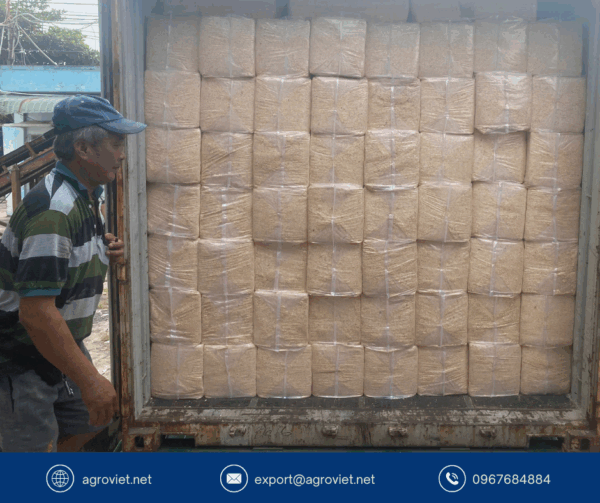 biomass fuel